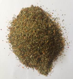 hypericum perforatum